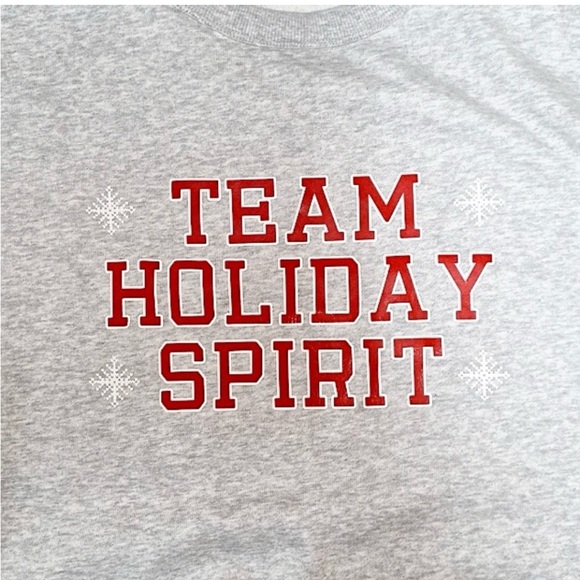 Wondershop NWT 1X Women's Team Holiday Spirit Matching Family Sweatshirt gray - Picture 4 of 9
